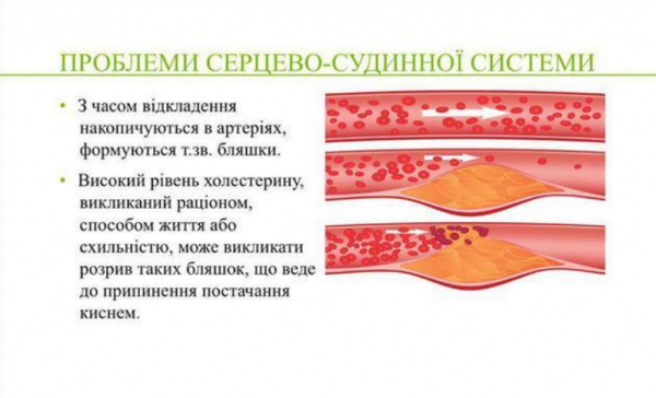 Бета Харт.png